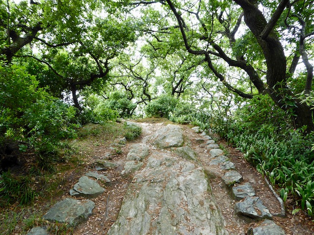 和歌浦の妹背山の登山道2