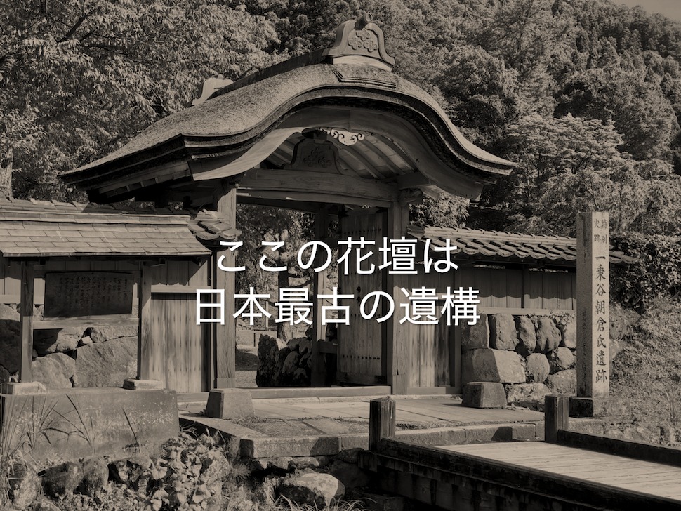 日本最古の花壇の遺構がある朝倉義景館の跡