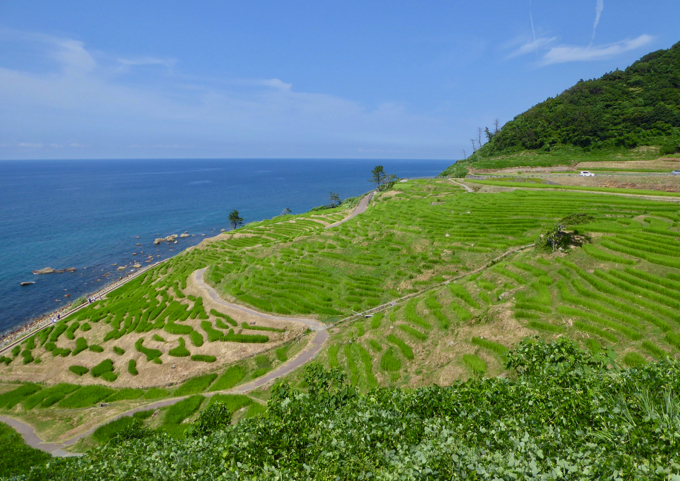 海の際まで迫る棚田。世界農業遺産・日本農業の聖地です。