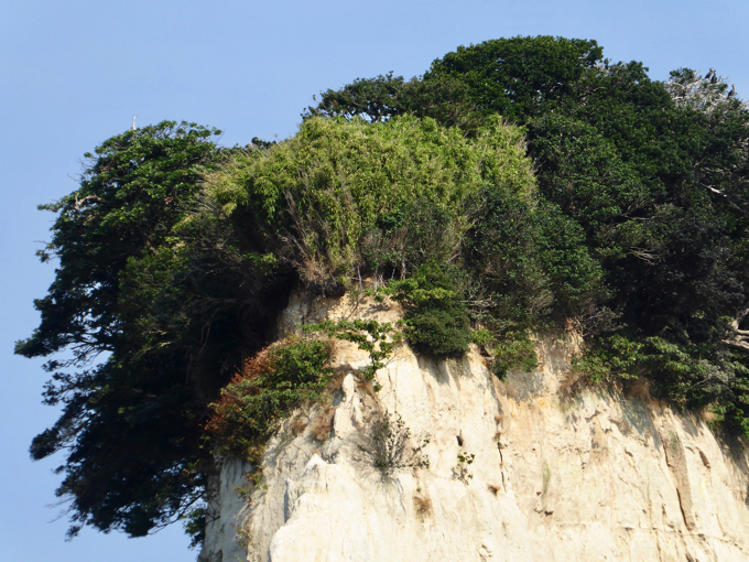 見附島は頂上部だけに木々が生えています